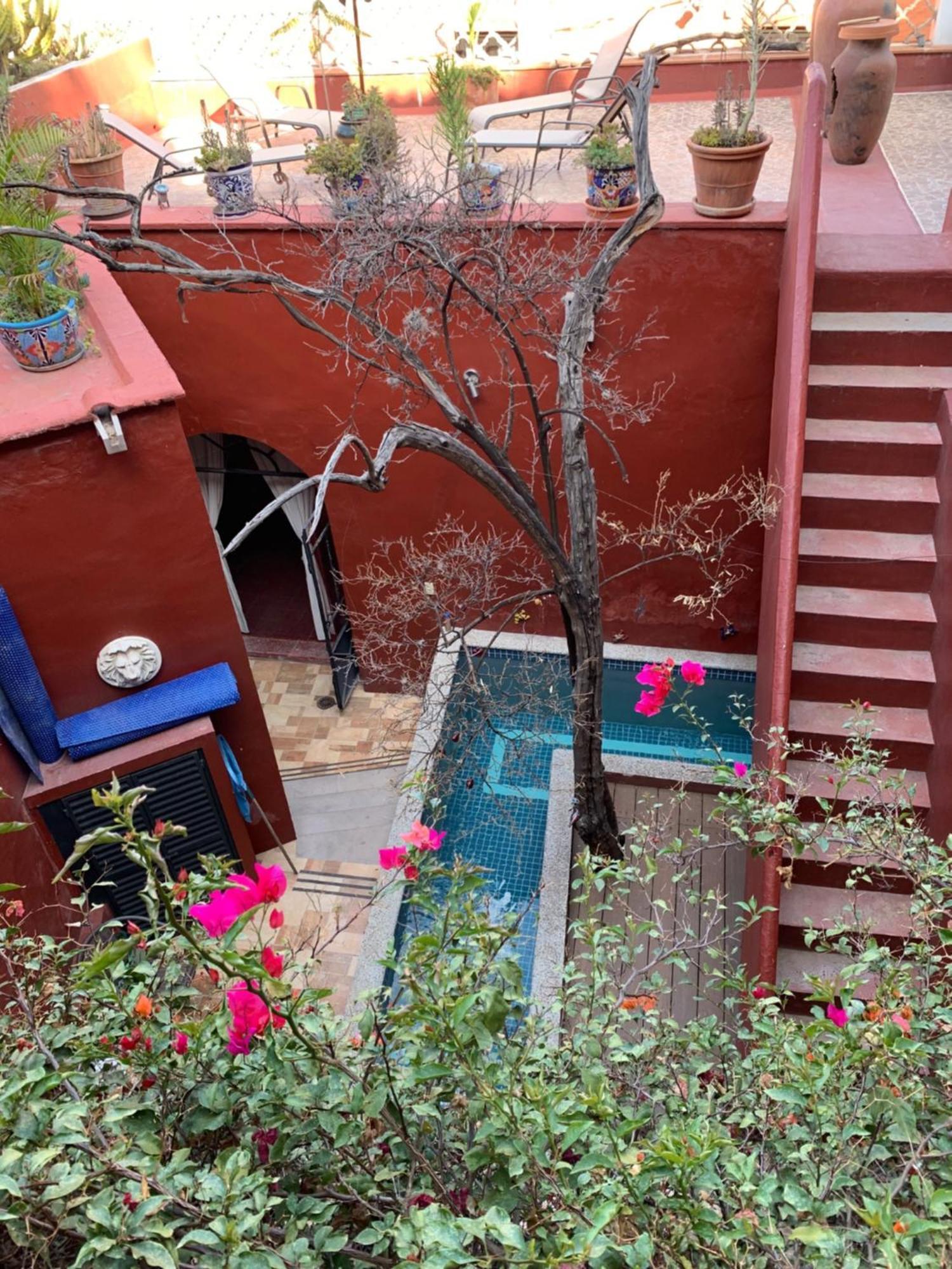 הוילה גואנאחואטו Antigua Casa Del Limon מראה חיצוני תמונה