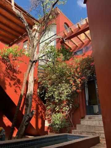 הוילה גואנאחואטו Antigua Casa Del Limon מראה חיצוני תמונה