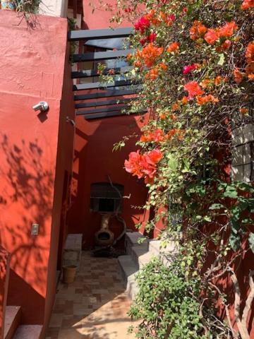 הוילה גואנאחואטו Antigua Casa Del Limon מראה חיצוני תמונה